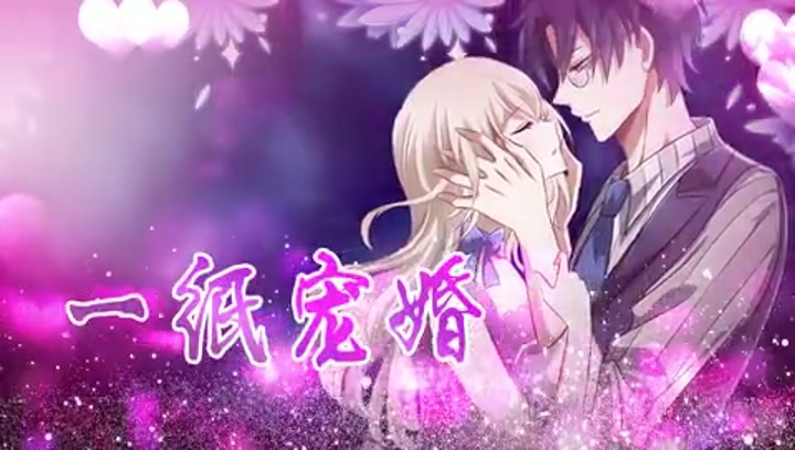 一纸宠婚