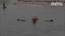 20120223-带你看看爱迪生欧洲的家