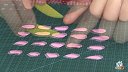 第7集-小雏菊