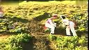 旅游-大理蝴蝶泉风光