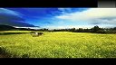 20111101-济州岛-世界最热门的十大蜜月旅游胜地