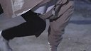 第09集