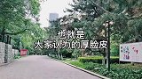 曹操的两个独特思维，世上没有几个人能做得到，不愧是乱世枭雄！