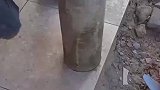 服了这小工，水泥都不上，就弄进去了