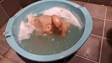 我觉得水有点凉，给他整点热水