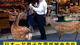 日本一男子泄怒砍杀奈良鹿遭警方逮捕