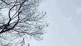 等，雪落下的声音