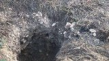 当地警方通报山东埋婴案：婴儿祖父涉嫌犯罪已被刑拘