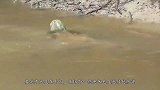 传说中的“水鬼”被人抓住？看到水鬼真容后，让人感觉不可思议