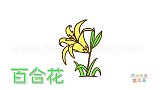植物简笔画大全，画百合花简笔画
