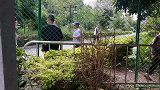 深圳一女子控告路人拍视频拍到了自己，侵犯了自己各项权利