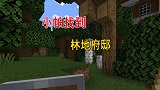 我的世界联机82：小帕不担心坐标泄露，放心的去寻找林地府邸