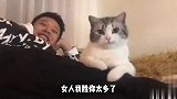 喵星人趴在男主身边，那傲娇的眼神没谁了