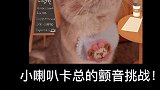 卡总，你还有多少惊喜是朕不知道？萌宠出道计划 萌宠高阶技能挑战 恶龙咆哮