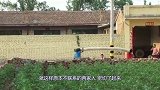 买豆腐买出的“婚外情”，女子长得不好看，却用“嘴”哄住了男友