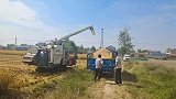 万亩水稻田喜获丰收，机械化收割场面壮观，看看今年的收成如何