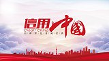 《信用中国》上海合印网络科技有限公司贝念军专访