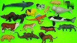 小动物模型和侏罗纪恐龙玩具展示