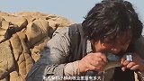 老戏骨与小鲜肉的敬业差距有多大