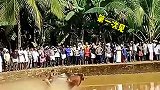 这牛飙车呢，速度太快了