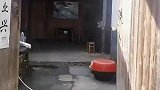 爸爸不愿住城里，孝顺女儿修乡下房子