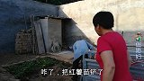 婆婆翻地栽葱秧，奶奶又送西瓜又关心，其乐融融真幸福