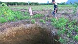 桑树地里塌陷的大深坑，村民众说纷纭，有的人说是古墓！