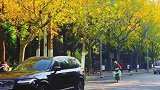 季节换了名字，风光依旧如故。