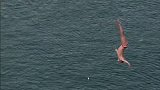 极限-16年-28米悬崖俯冲 Red Bull Cliff Diving系列赛哥本哈根三连跳-新闻