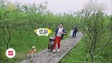 那英张艺兴切磋音乐提及杨紫，开窍说不懂如何爱，黄磊助攻主动追