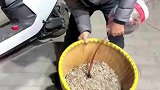 瓜子味道的味道，看着就好吃