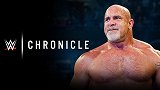 WWE编年史：传奇人物战神高柏的回归和救赎之路（原声中字）