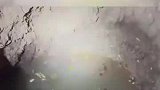 男子查古籍找到古墓群后，在古墓上种庄家，企图瞒天过海