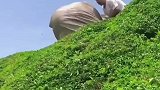 让巨物从山顶滚落下来，半山腰的人居然想徒手接住