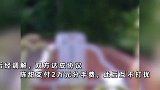 数罪并罚！男子收前女友2万元分手费仍纠缠，为报复挖其父亲骨灰