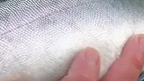 银色的细鳞真漂亮，感觉生吃最得劲