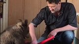 战斗民族的人与熊