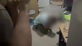 工人跪地哀求主管“别开除”，公司：该员工酒后情绪失控，已离职