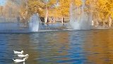 湖边美景，碧水蓝天，秋天也很美
