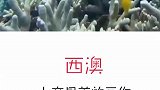 今年我们一起去吧