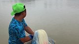广东暴雨后，大河来一网，真的太多鱼了!