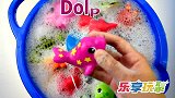 乐享动物乐园带你认识硬壳螃蟹和绿海龟