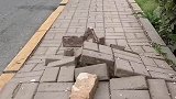 地里钻出什么都不奇怪了