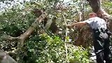 福建石狮：大爷脖子被卡树干上！民警：赶紧找个铲车来
