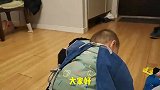 性格迥异的双胞胎兄弟，你更喜欢哪一个？来说说看！