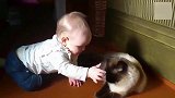 小宝宝突然去扯猫咪的胡须，下一秒猫咪的举动，把人暖化了!
