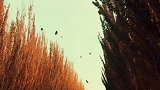 秋天不回来！独家旅行！越野车俱乐部！