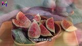 为什么说无花果里都有一具昆虫尸体知道真相后再也不敢吃了
