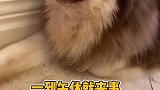 就吃个糖而已戏也太多了