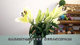 我们买百合花时要留意，看到3种最好不要买，抓紧学学